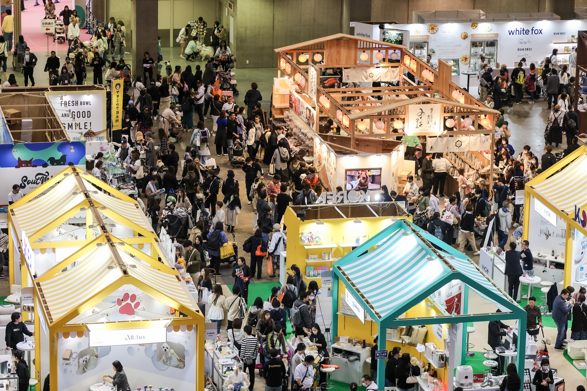 活動歴および当時の関連ビジュアル記録
