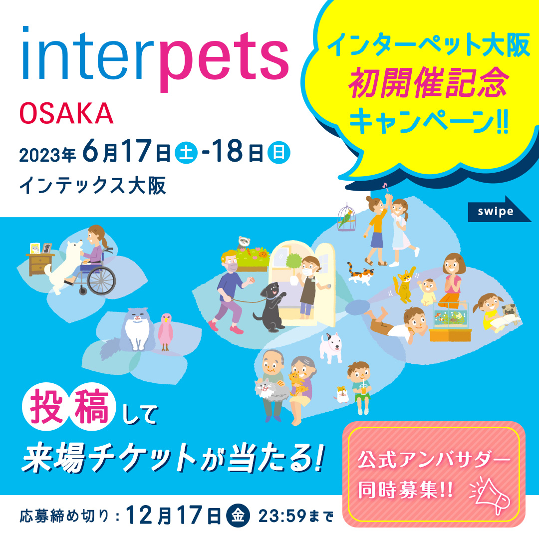 サイズ変更オプション インターペット大阪 チケット - 通販
