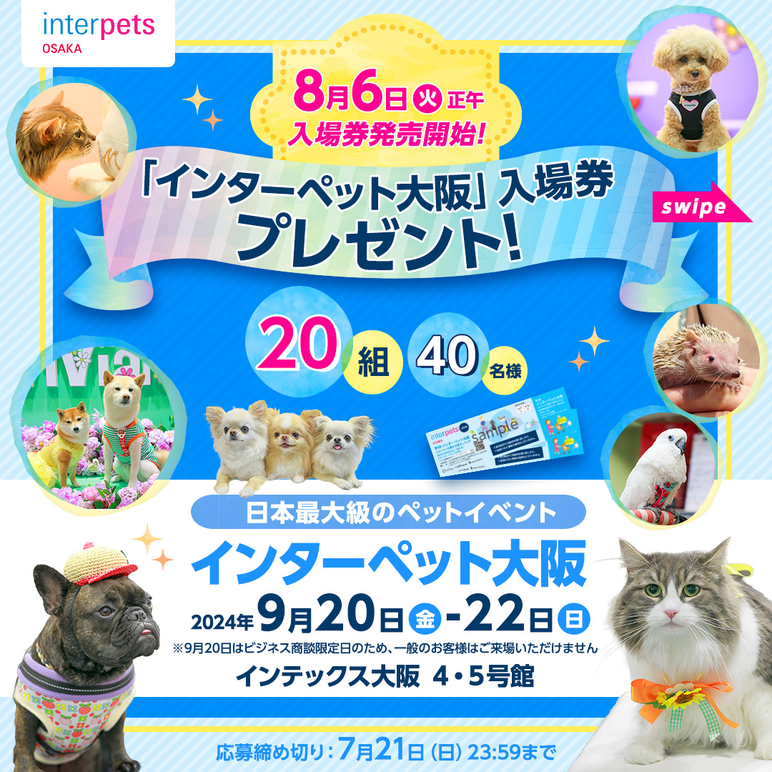 ニュース