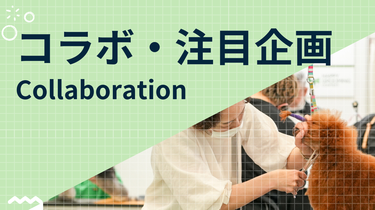Arenaのコピー - 3