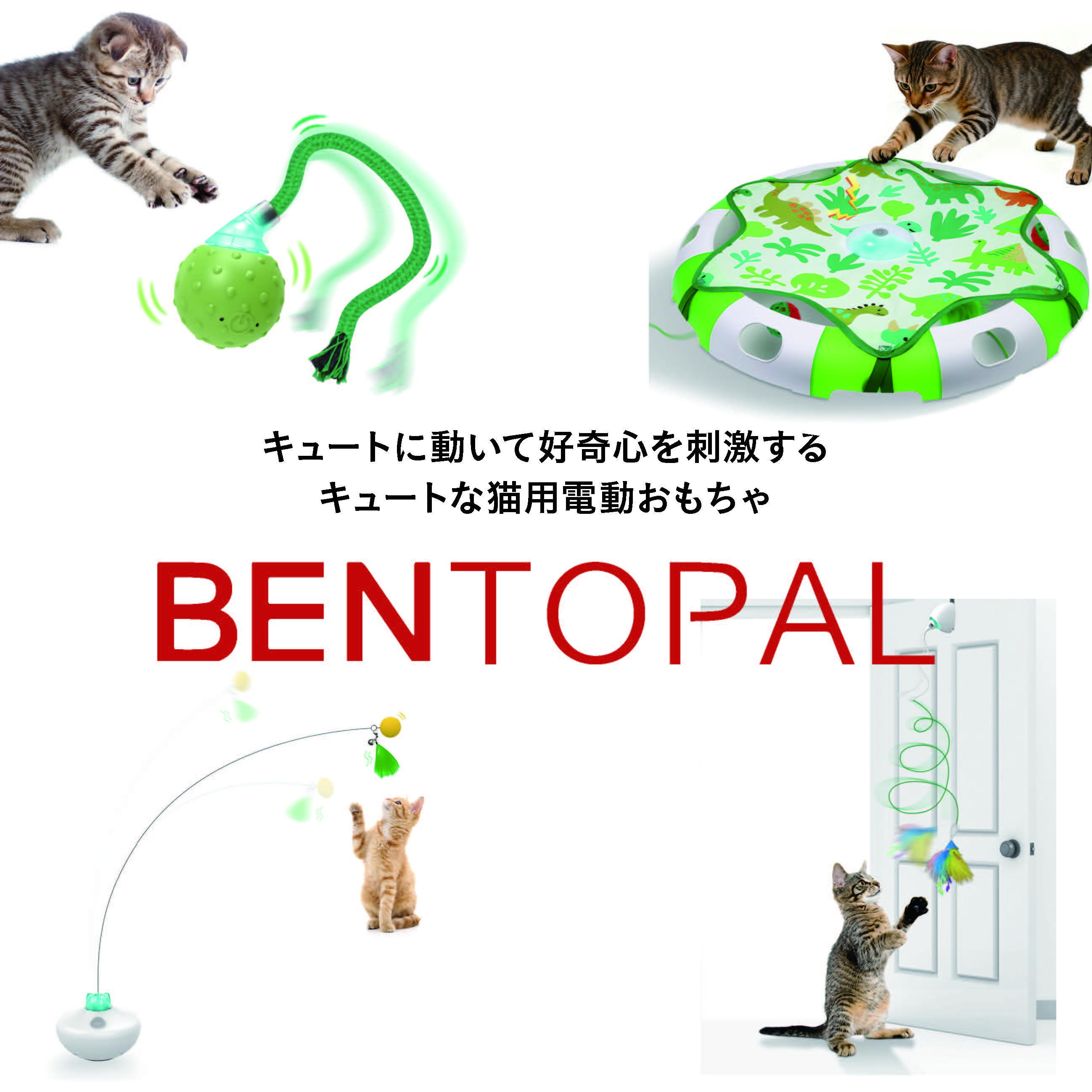 BENTOPAL_正方形