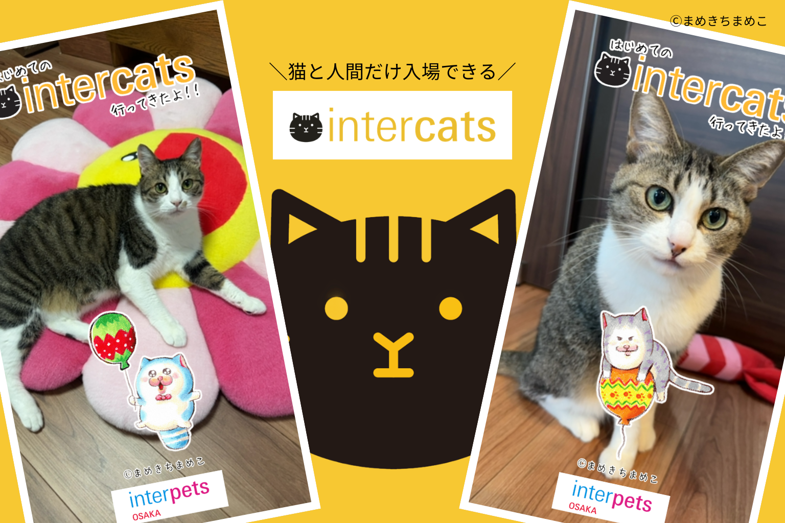 猫と人間だけ入場できるエリア - 1