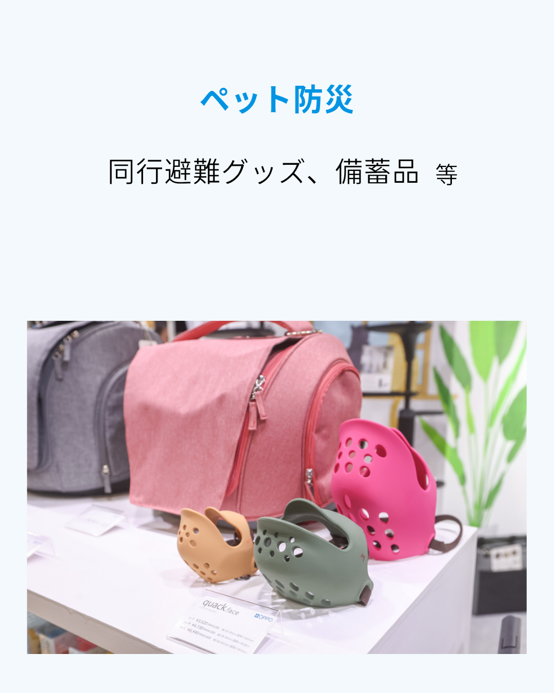 フード・おやつ 犬用、猫用、小動物用、小鳥用、観賞魚用等 - 5