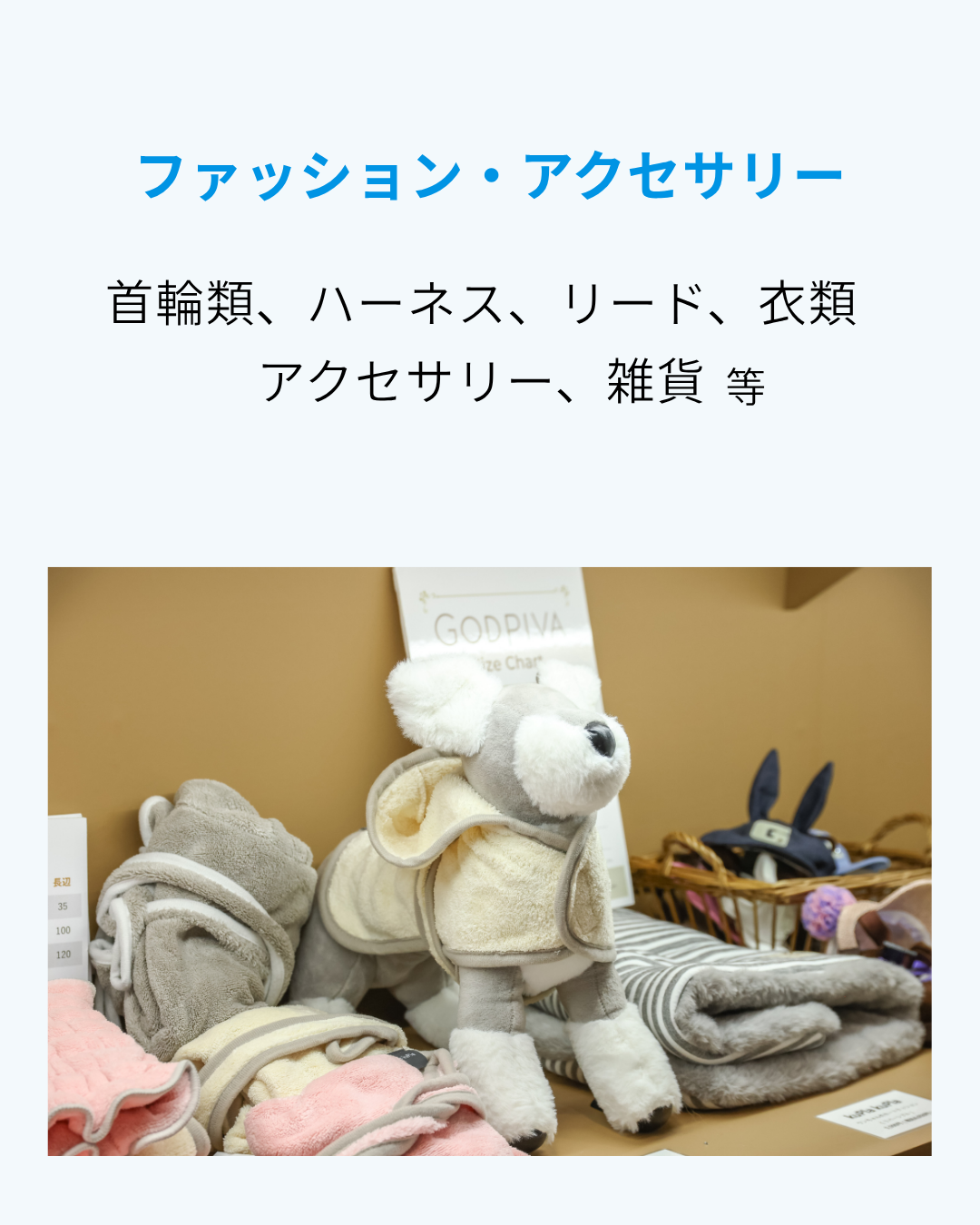 フード・おやつ 犬用、猫用、小動物用、小鳥用、観賞魚用等 - 2